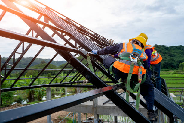 Best Residential Roof Replacement  in Marshall, IL