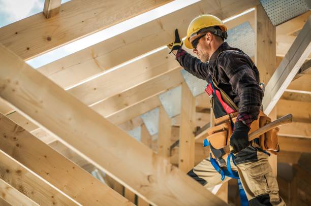 Best Roof Gutter Cleaning  in Marshall, IL