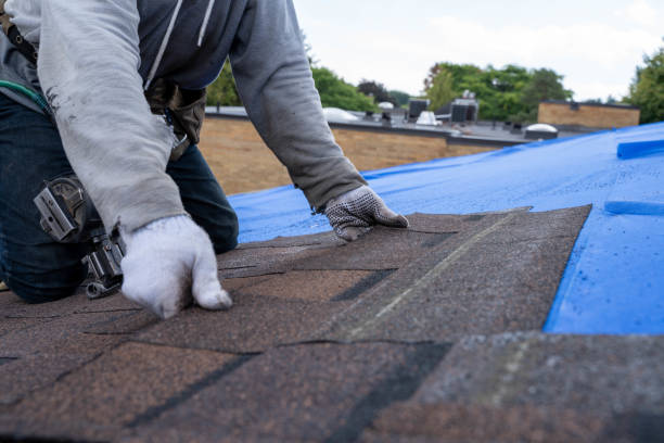 Best Commercial Roofing Services  in Marshall, IL