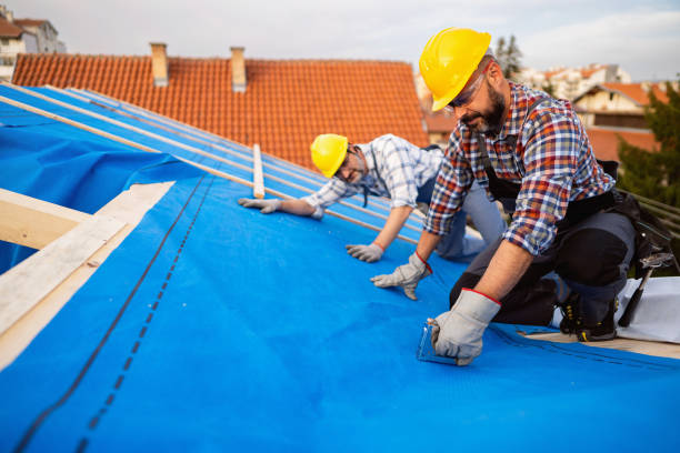 Best New Roof Installation  in Marshall, IL