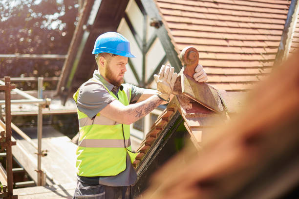Best Metal Roofing Contractor  in Marshall, IL