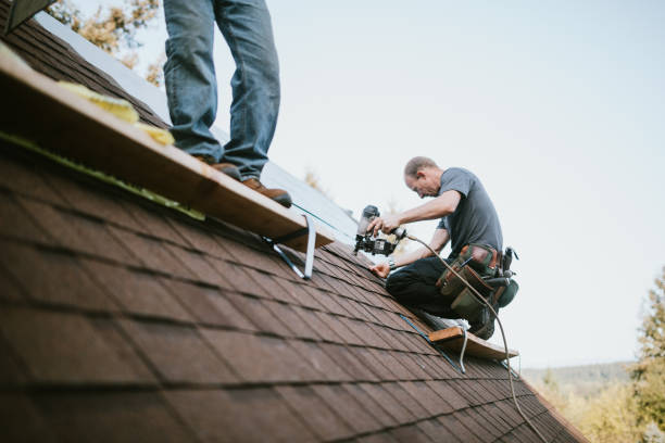 Best Local Roofing Companies  in Marshall, IL